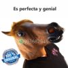 Caballo - Imagen 4