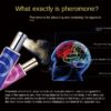 Perfume feromonas docena - Imagen 2