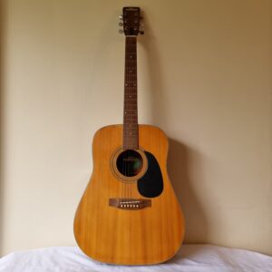 Guitarra Marina Mark 31